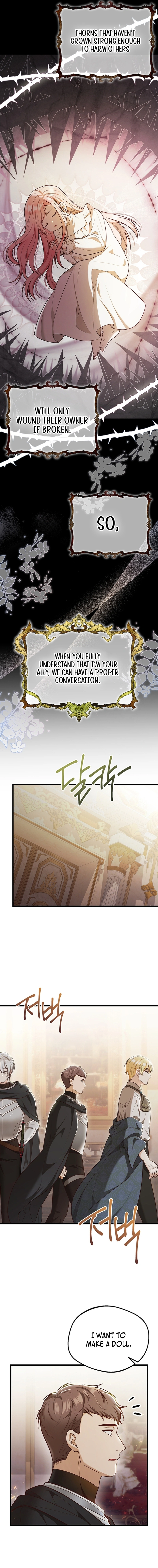 73505028 800 7910 1137716